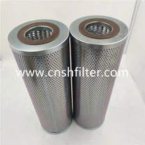 Remplacer l'élément filtrant HY-PRO HP101L36-12MB